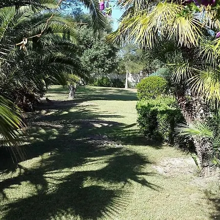 Villa Private With Swimming Pool