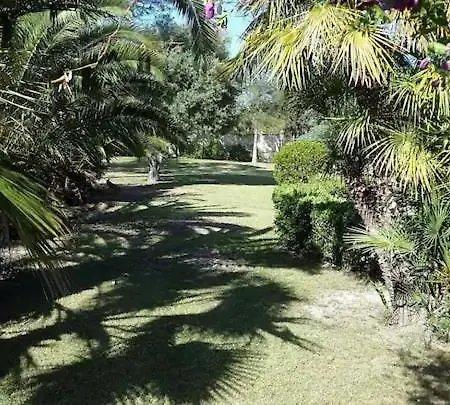 Private With Swimming Pool